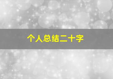 个人总结二十字