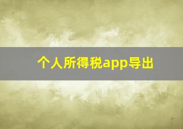 个人所得税app导出