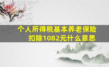 个人所得税基本养老保险扣除1082元什么意思