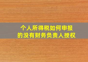 个人所得税如何申报的没有财务负责人授权