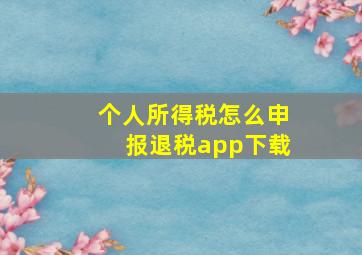 个人所得税怎么申报退税app下载