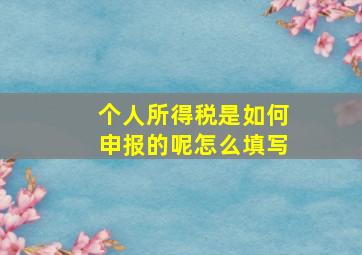 个人所得税是如何申报的呢怎么填写