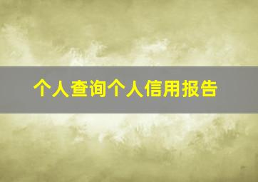 个人查询个人信用报告