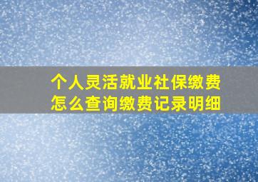 个人灵活就业社保缴费怎么查询缴费记录明细