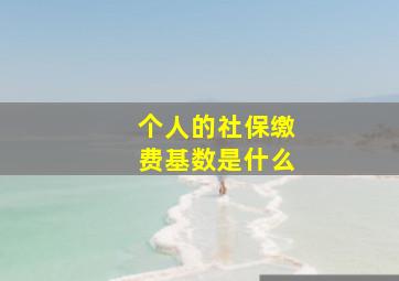 个人的社保缴费基数是什么