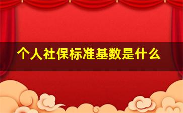 个人社保标准基数是什么