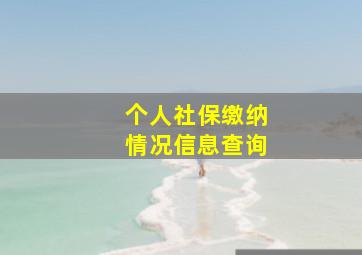 个人社保缴纳情况信息查询