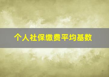 个人社保缴费平均基数