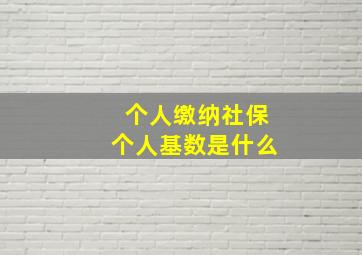 个人缴纳社保个人基数是什么