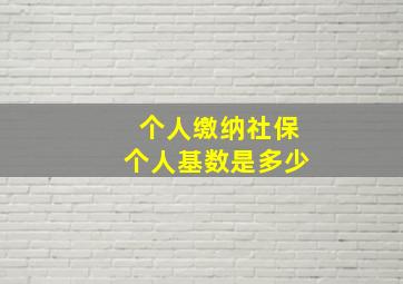 个人缴纳社保个人基数是多少