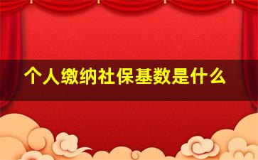 个人缴纳社保基数是什么