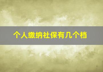 个人缴纳社保有几个档