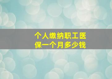 个人缴纳职工医保一个月多少钱