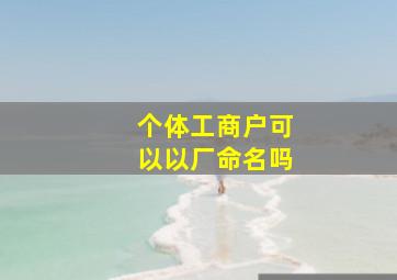 个体工商户可以以厂命名吗