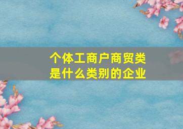 个体工商户商贸类是什么类别的企业