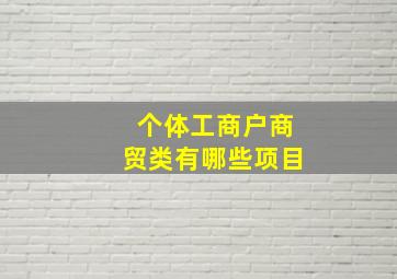 个体工商户商贸类有哪些项目