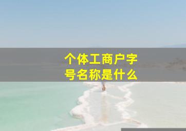 个体工商户字号名称是什么