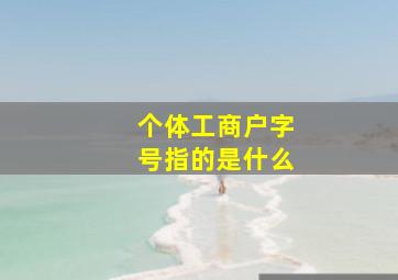 个体工商户字号指的是什么