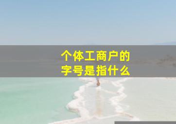 个体工商户的字号是指什么