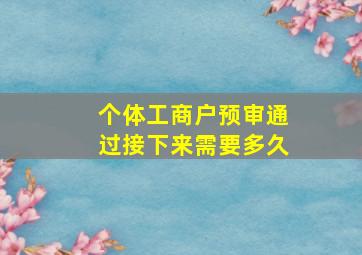 个体工商户预审通过接下来需要多久