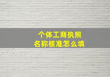 个体工商执照名称核准怎么填