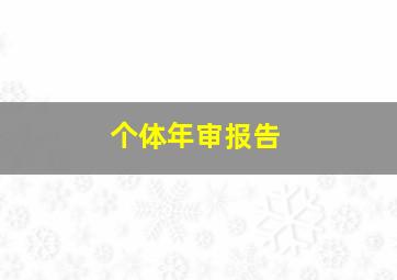 个体年审报告