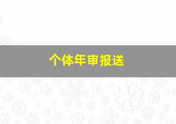 个体年审报送