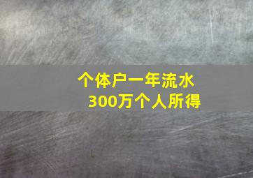 个体户一年流水300万个人所得