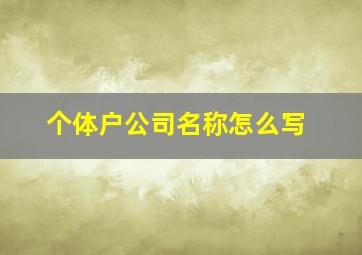 个体户公司名称怎么写