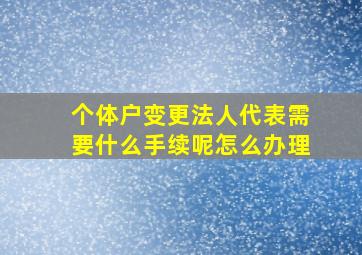 个体户变更法人代表需要什么手续呢怎么办理