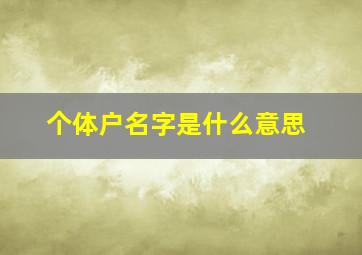 个体户名字是什么意思