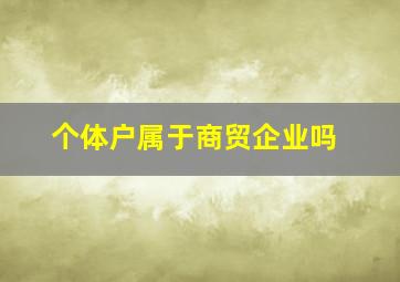 个体户属于商贸企业吗