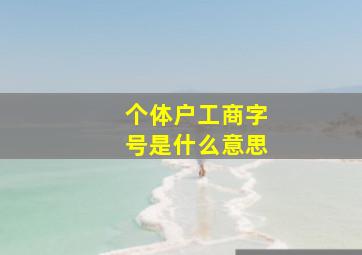 个体户工商字号是什么意思