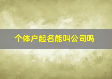 个体户起名能叫公司吗