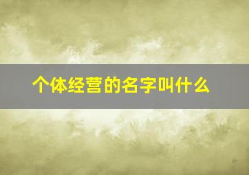 个体经营的名字叫什么