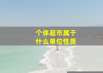 个体超市属于什么单位性质