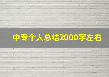 中专个人总结2000字左右