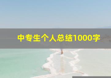 中专生个人总结1000字