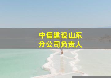 中信建设山东分公司负责人