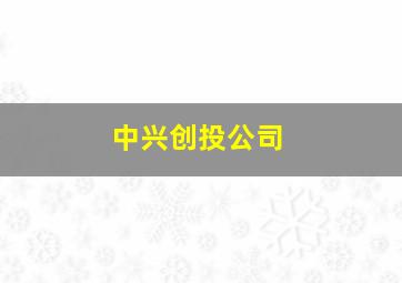 中兴创投公司