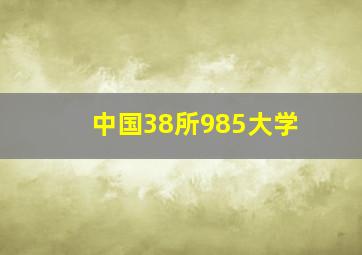 中国38所985大学