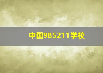 中国985211学校