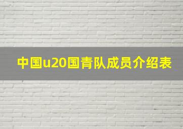 中国u20国青队成员介绍表