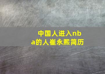 中国人进入nba的人崔永熙简历