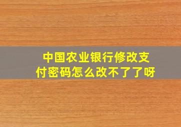 中国农业银行修改支付密码怎么改不了了呀