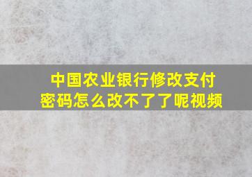 中国农业银行修改支付密码怎么改不了了呢视频