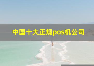 中国十大正规pos机公司