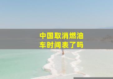 中国取消燃油车时间表了吗