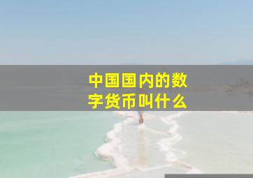 中国国内的数字货币叫什么