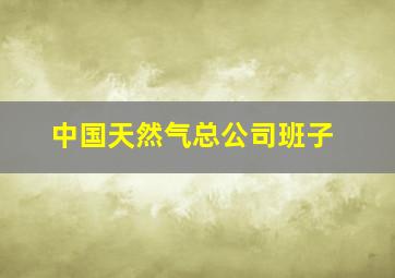 中国天然气总公司班子